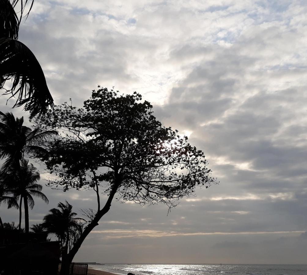 CASE de ROBINSON Lomé Buitenkant foto